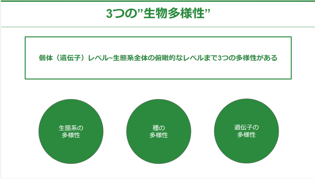 多様性の解説図